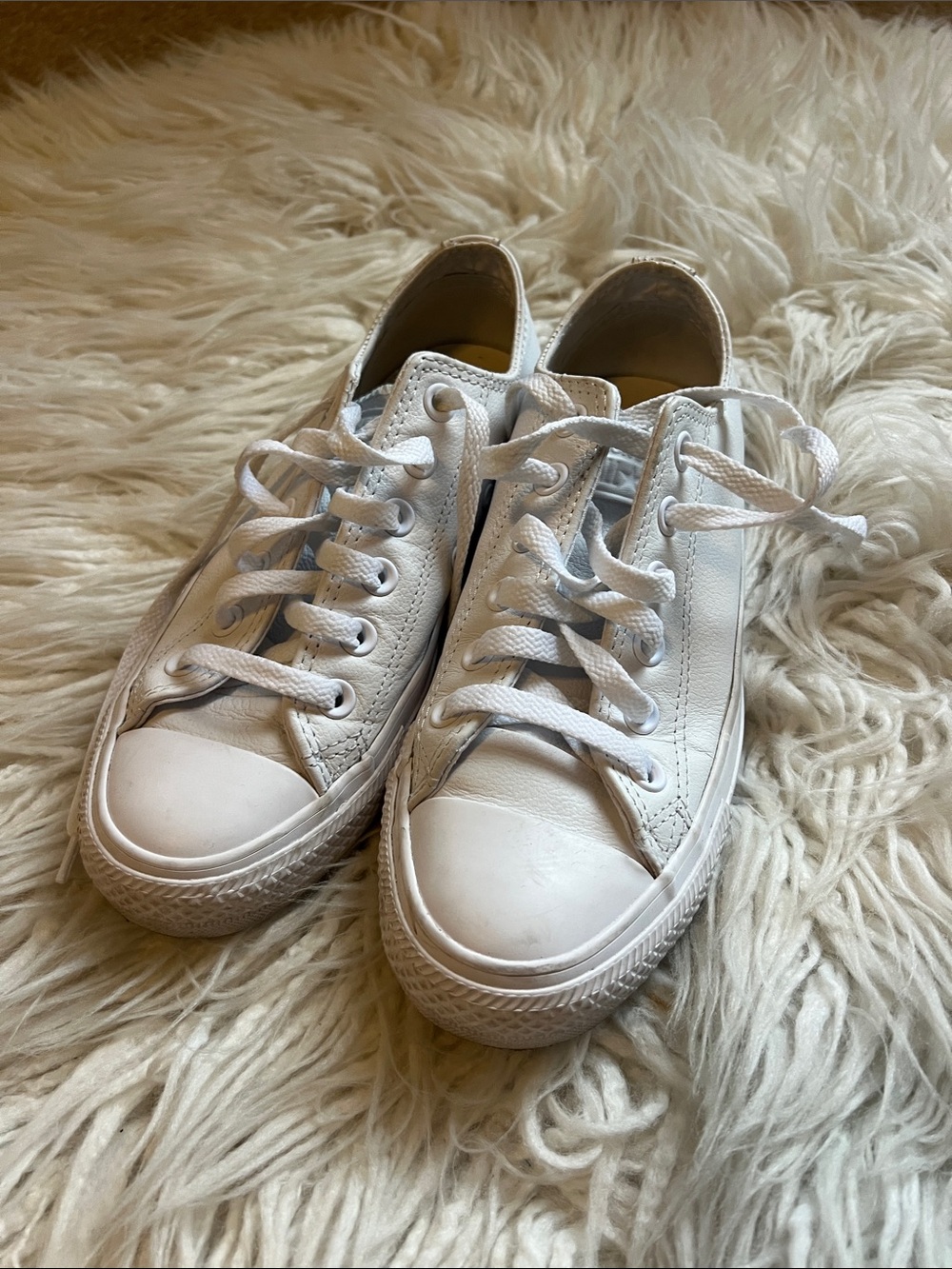Converse All Star Low Top